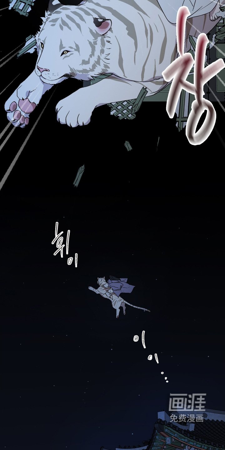 第25章：夜空