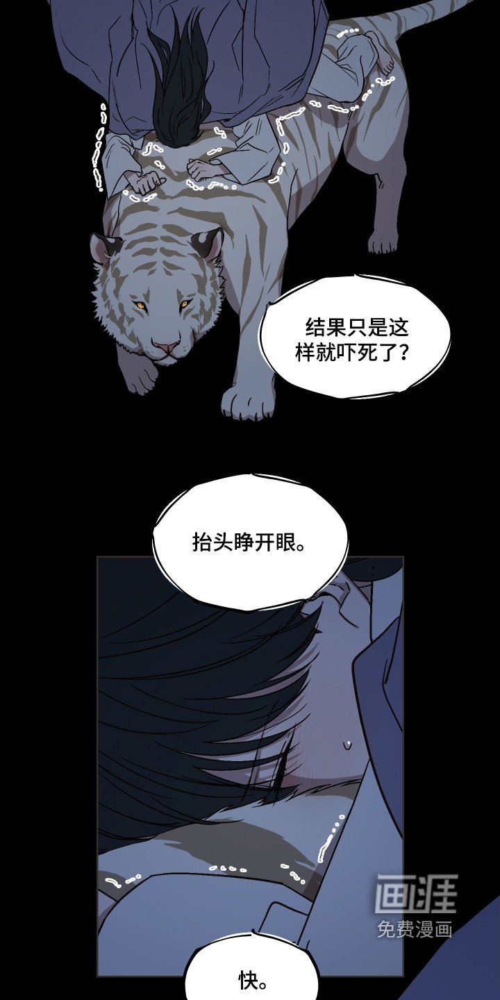 第25章：夜空