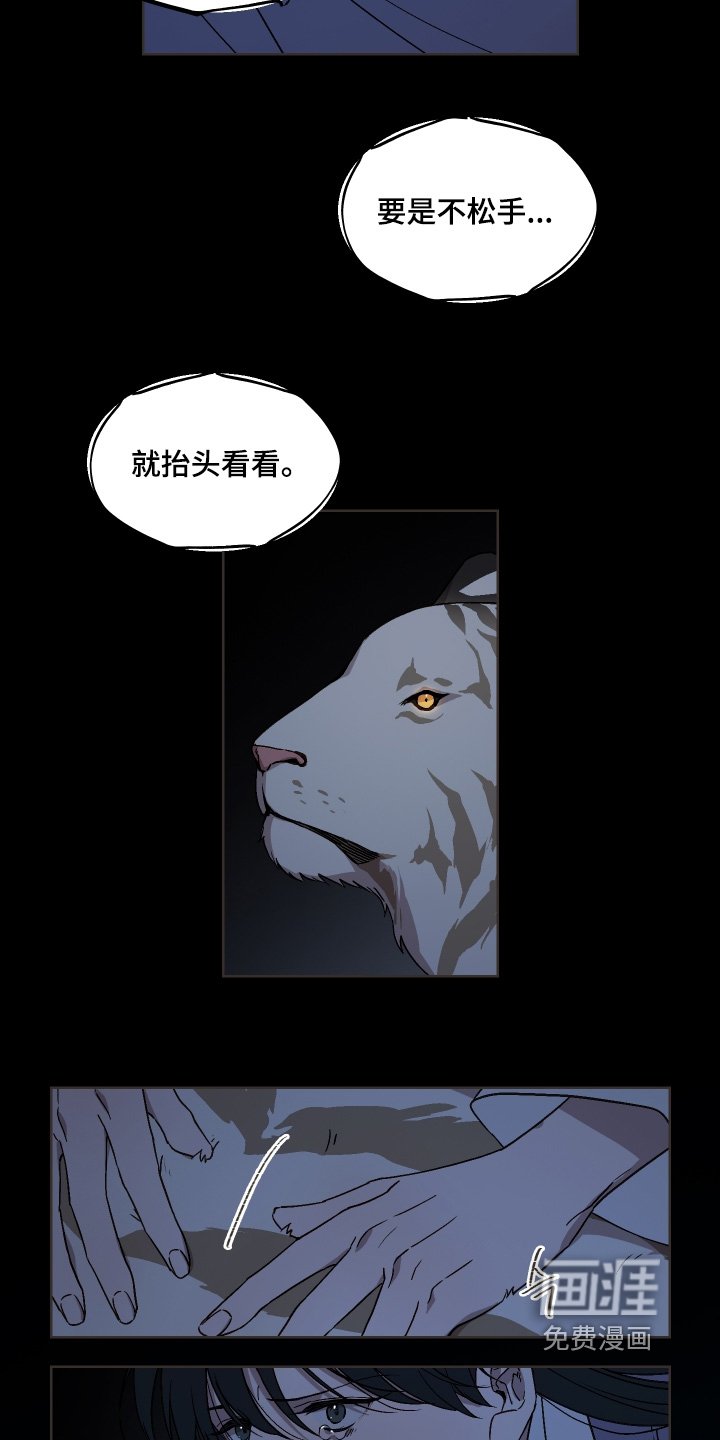 第25章：夜空