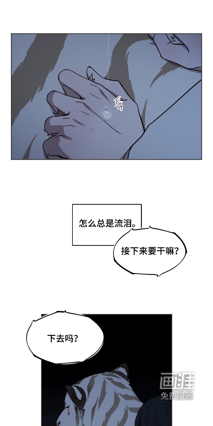 第25章：夜空