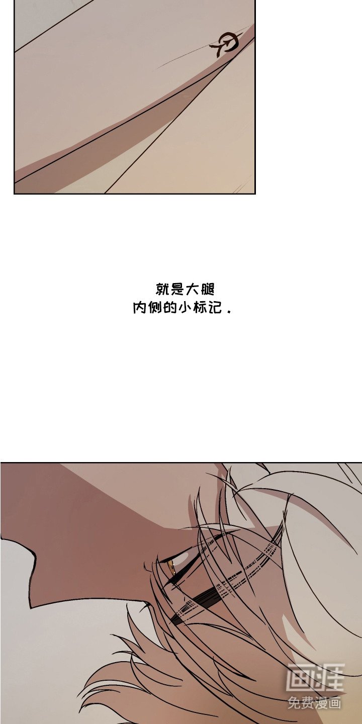 第4章： 神兽