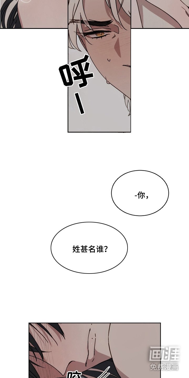 第5章：名字