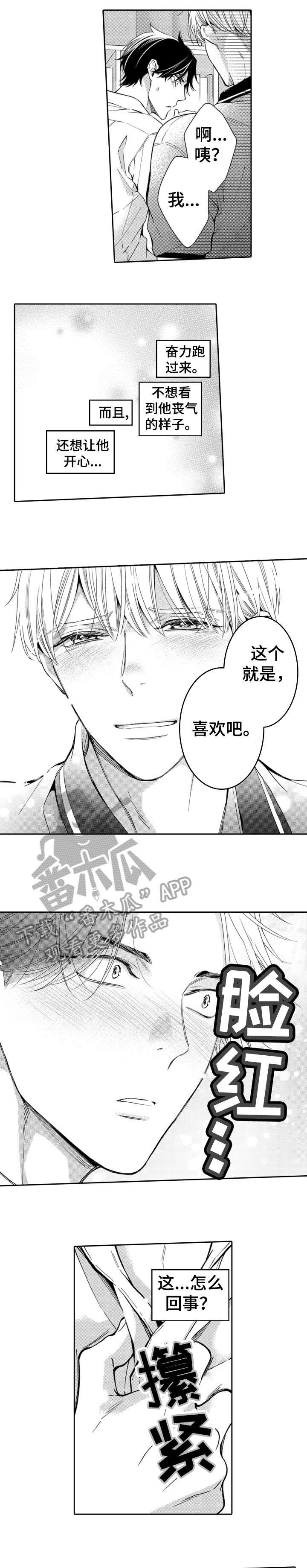 第13章：解决