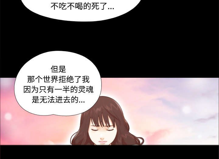 第29章：诅咒
