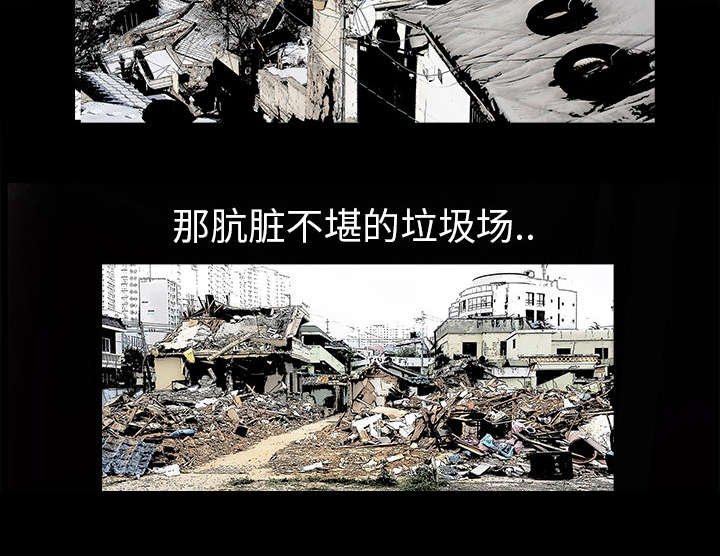 第1章：决定