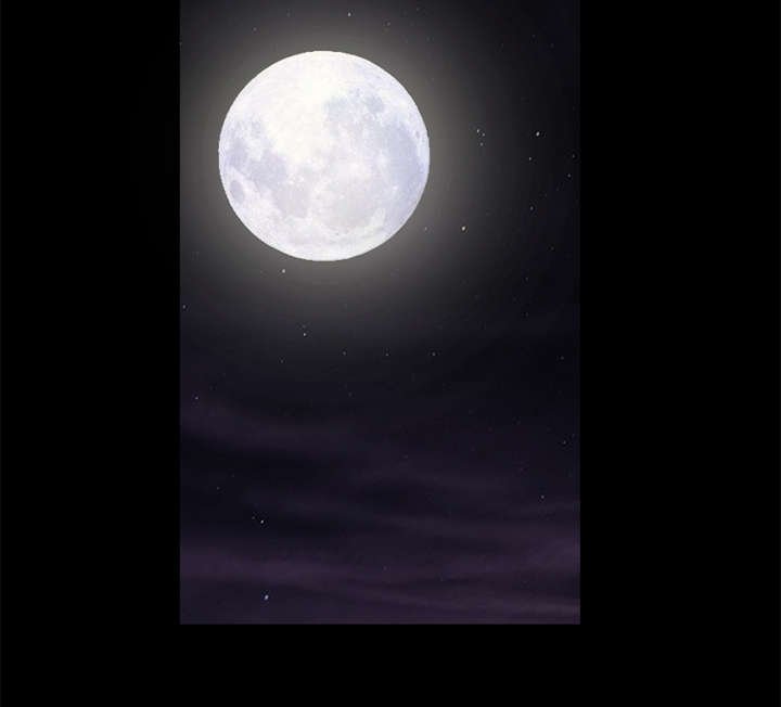 第18章：选择