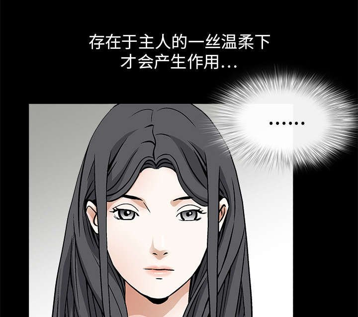 第35章：报导