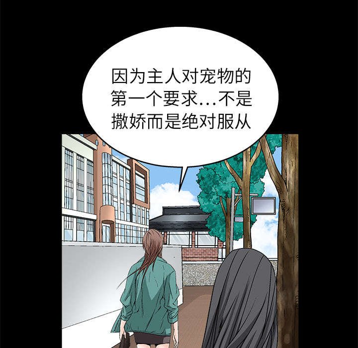 第37章：弱点