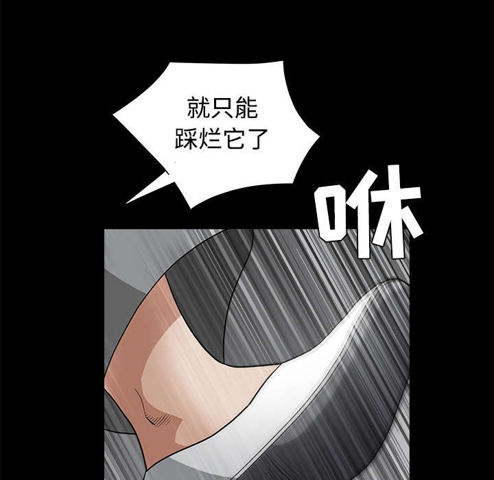第56章：告知会长
