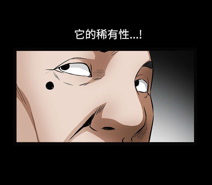 第78章：高级收藏品