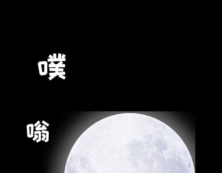 第78章：高级收藏品