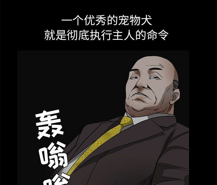 第89章：价值120亿