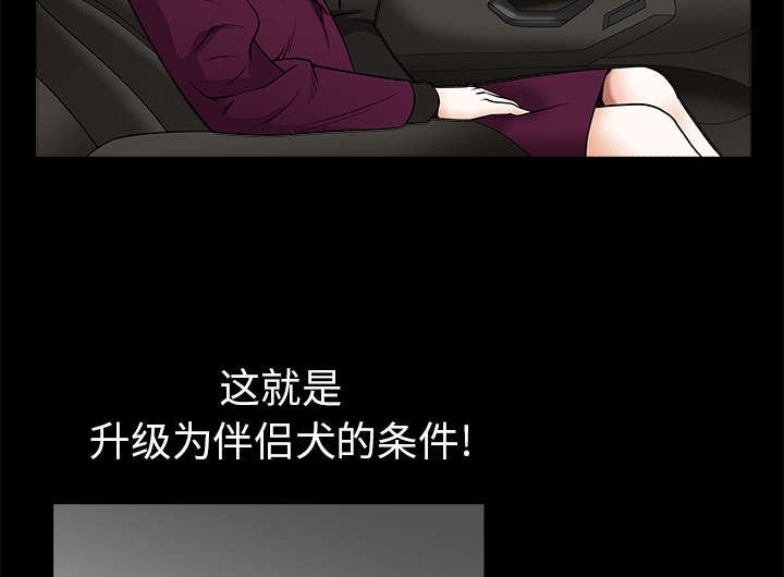 第89章：价值120亿