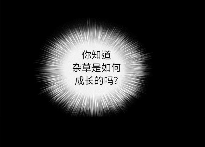 第91章：做给我看