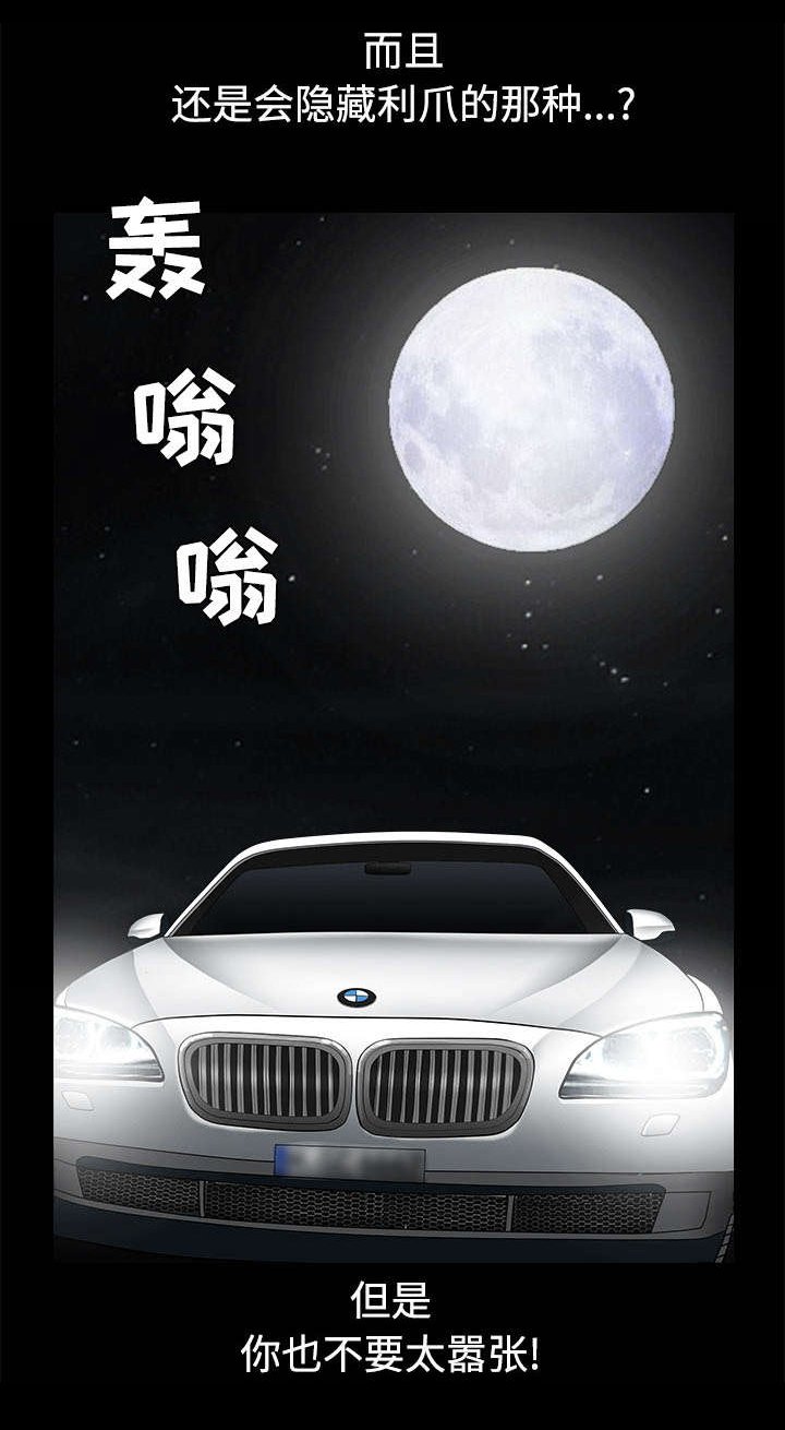 第97章：圈套
