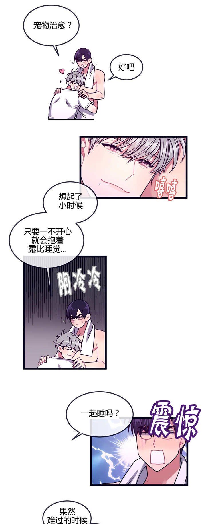 第11章：宠物治愈