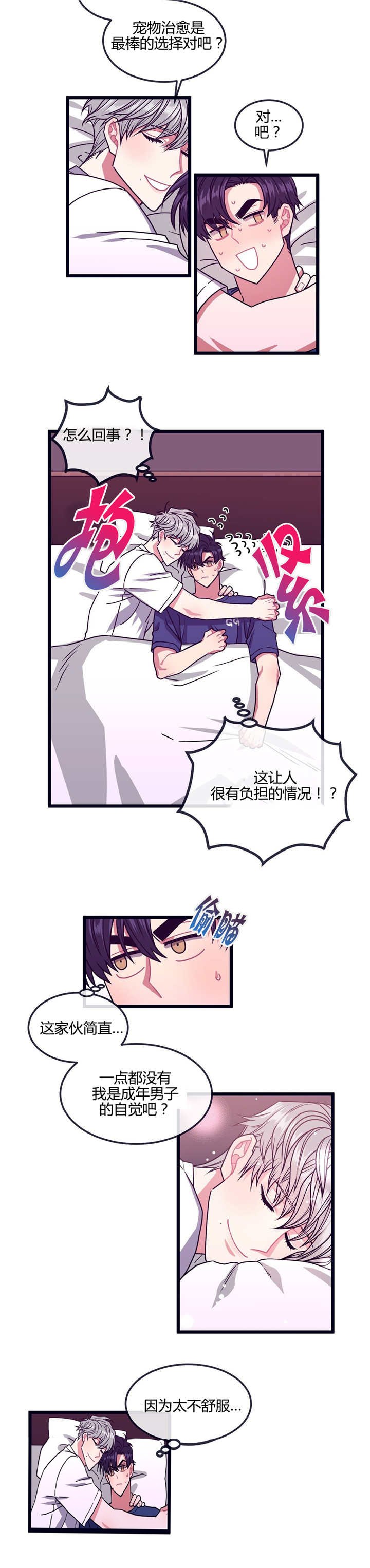 第11章：宠物治愈