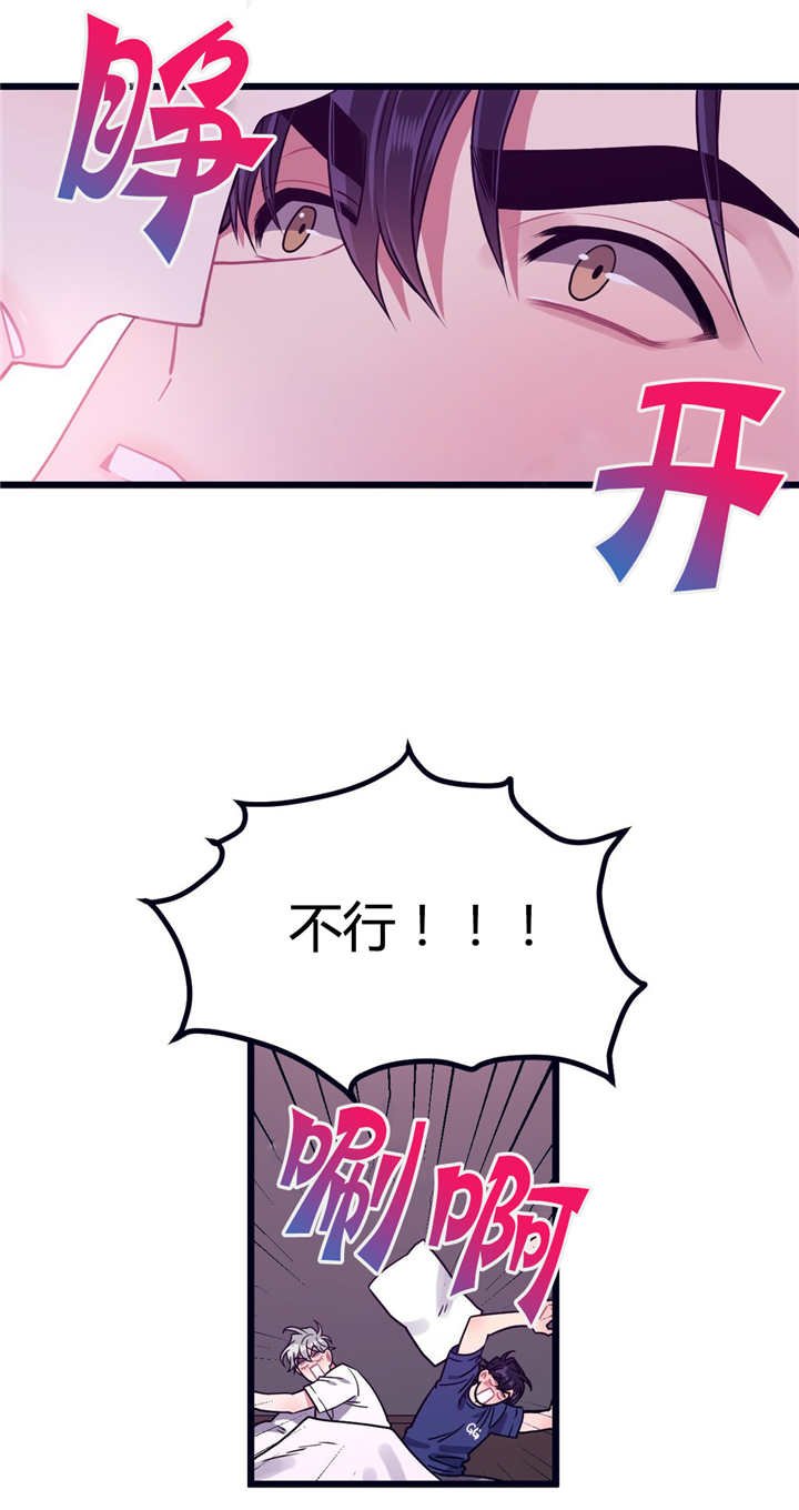 第11章：宠物治愈