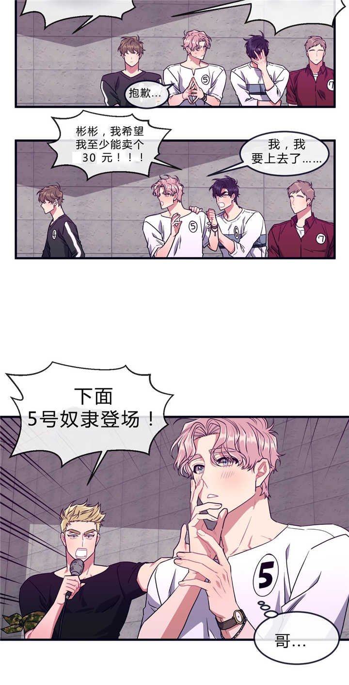 第38章：庆典拍卖