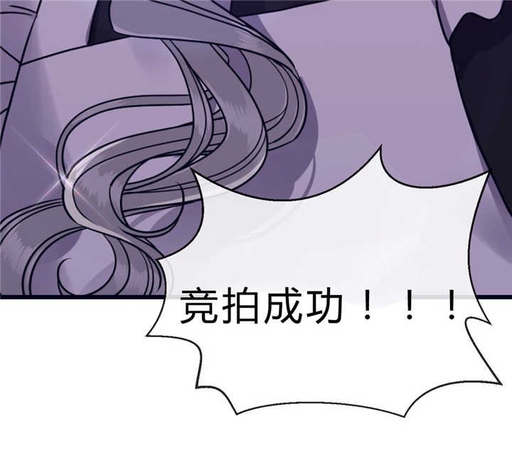 第39章：竞拍成功
