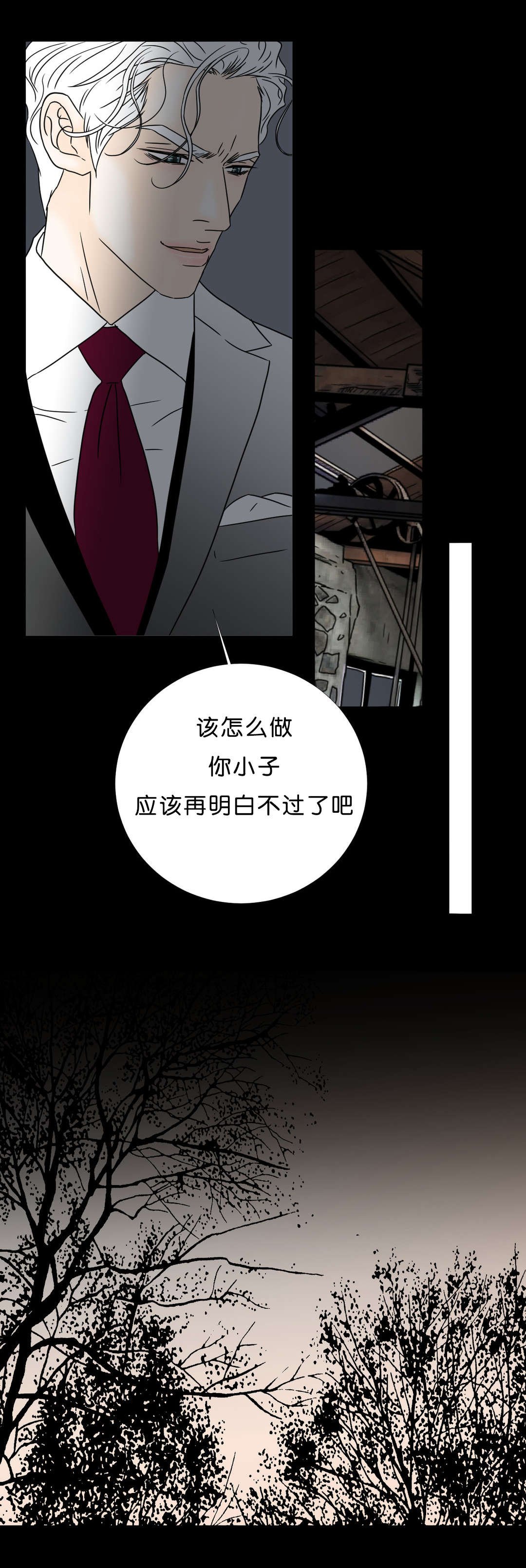第41章：关于她的一切