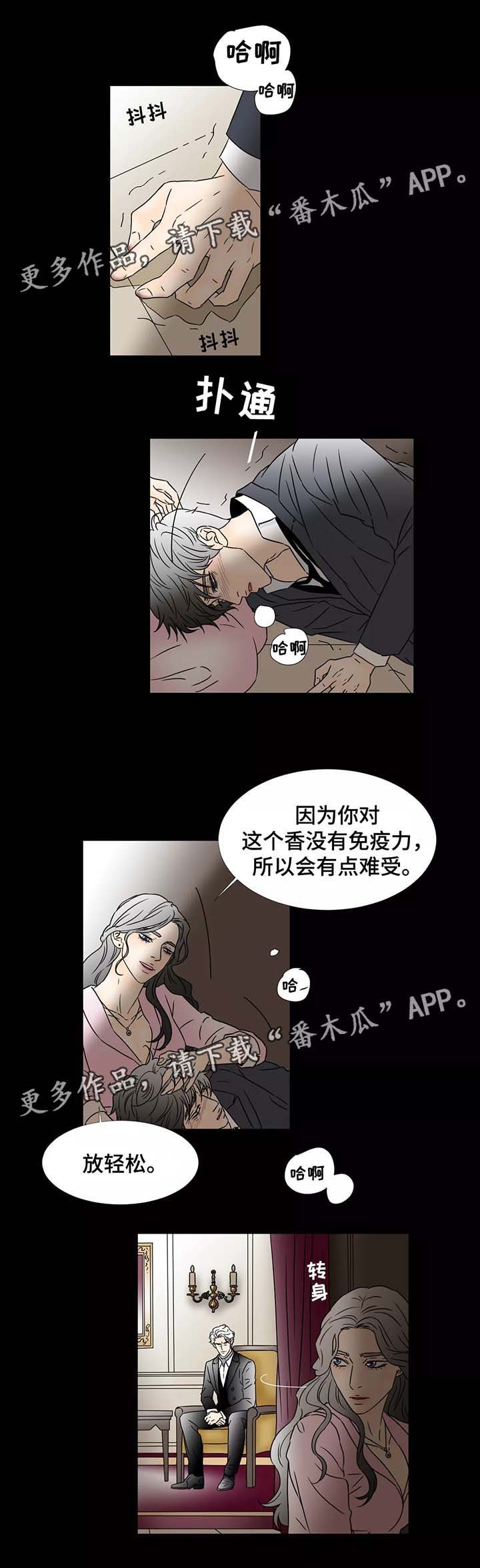 第63章：美好的假象