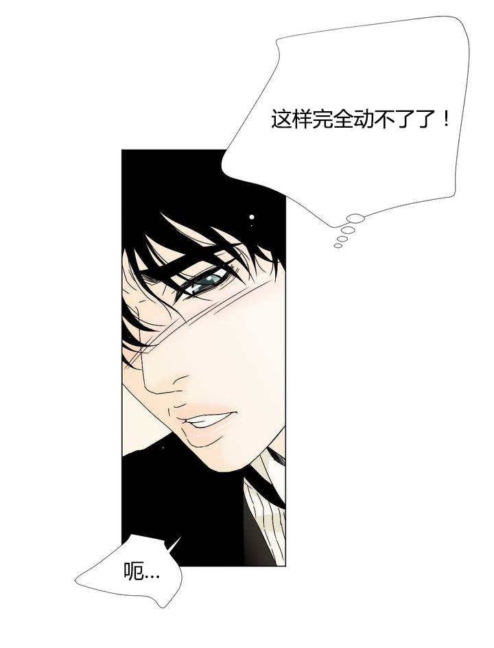 第8章：任意妄为