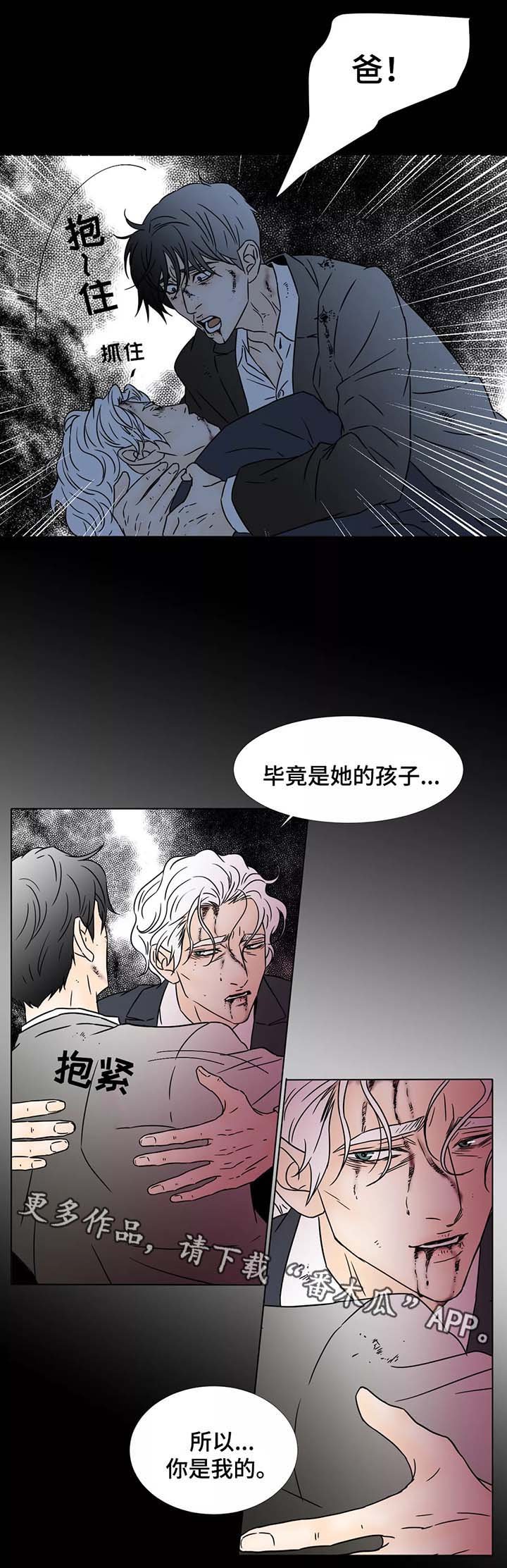 第84章：你是我的