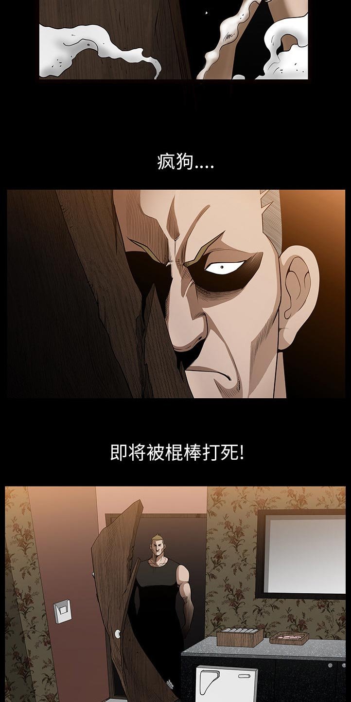 第53章：疯狗