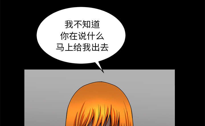 第66章：两个女人