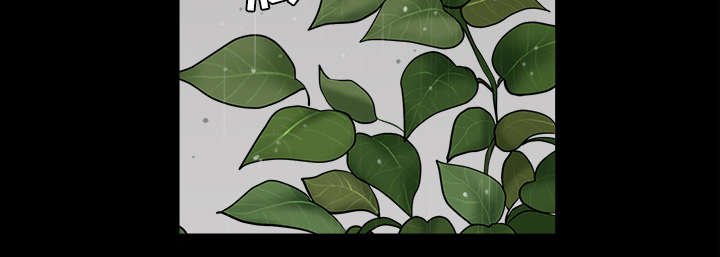 第66章：两个女人