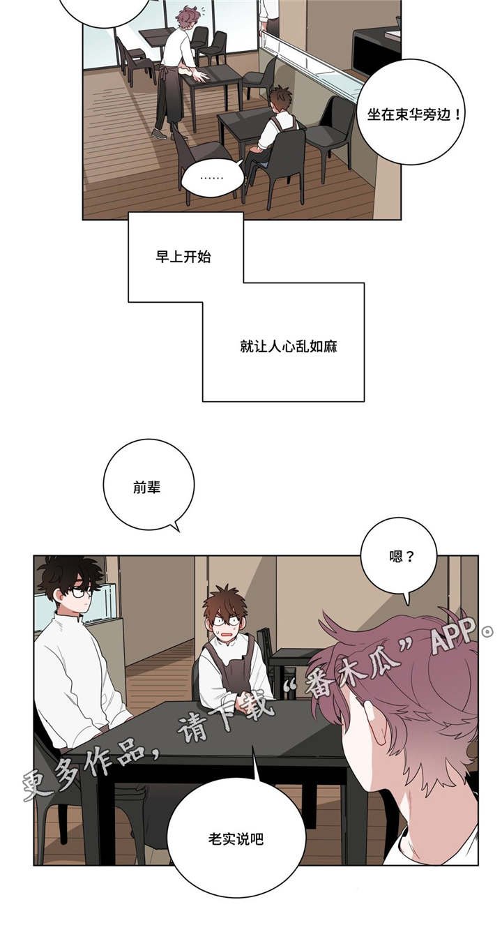 第13章：神秘的前辈