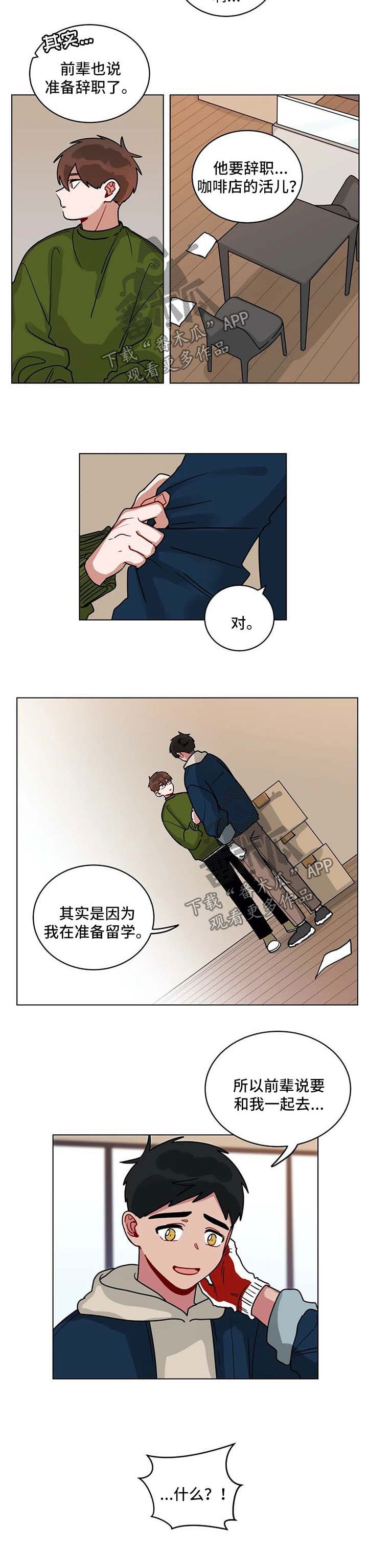 第151章：准备辞职