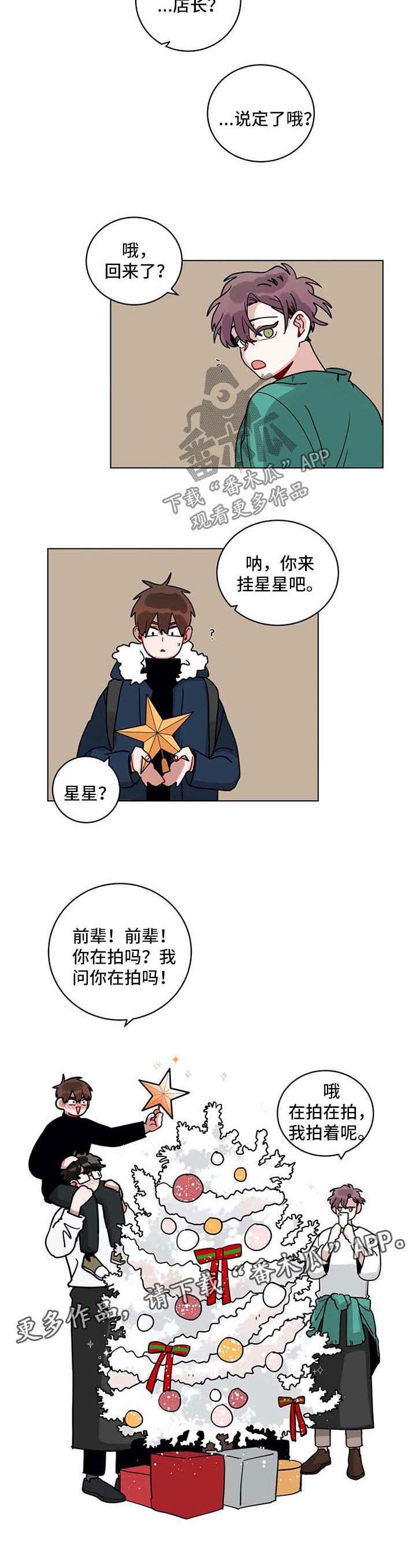 第160章：圣诞树