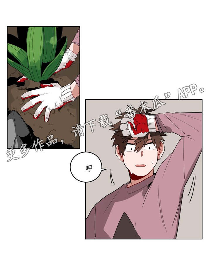 第17章：逃跑