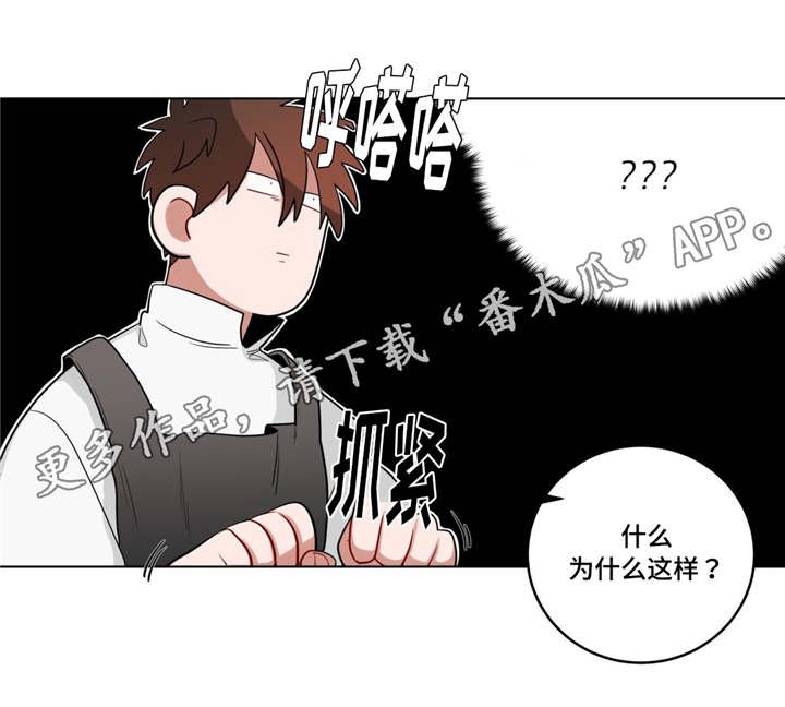 第21章：第一晚