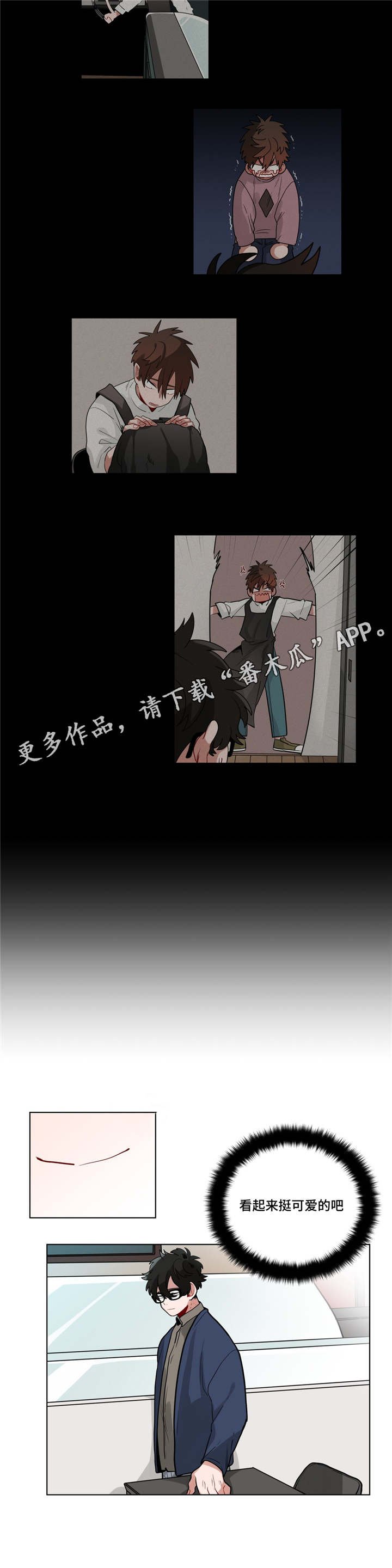 第31章：道歉