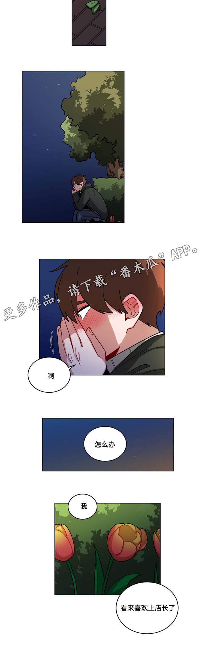 第71章：错觉