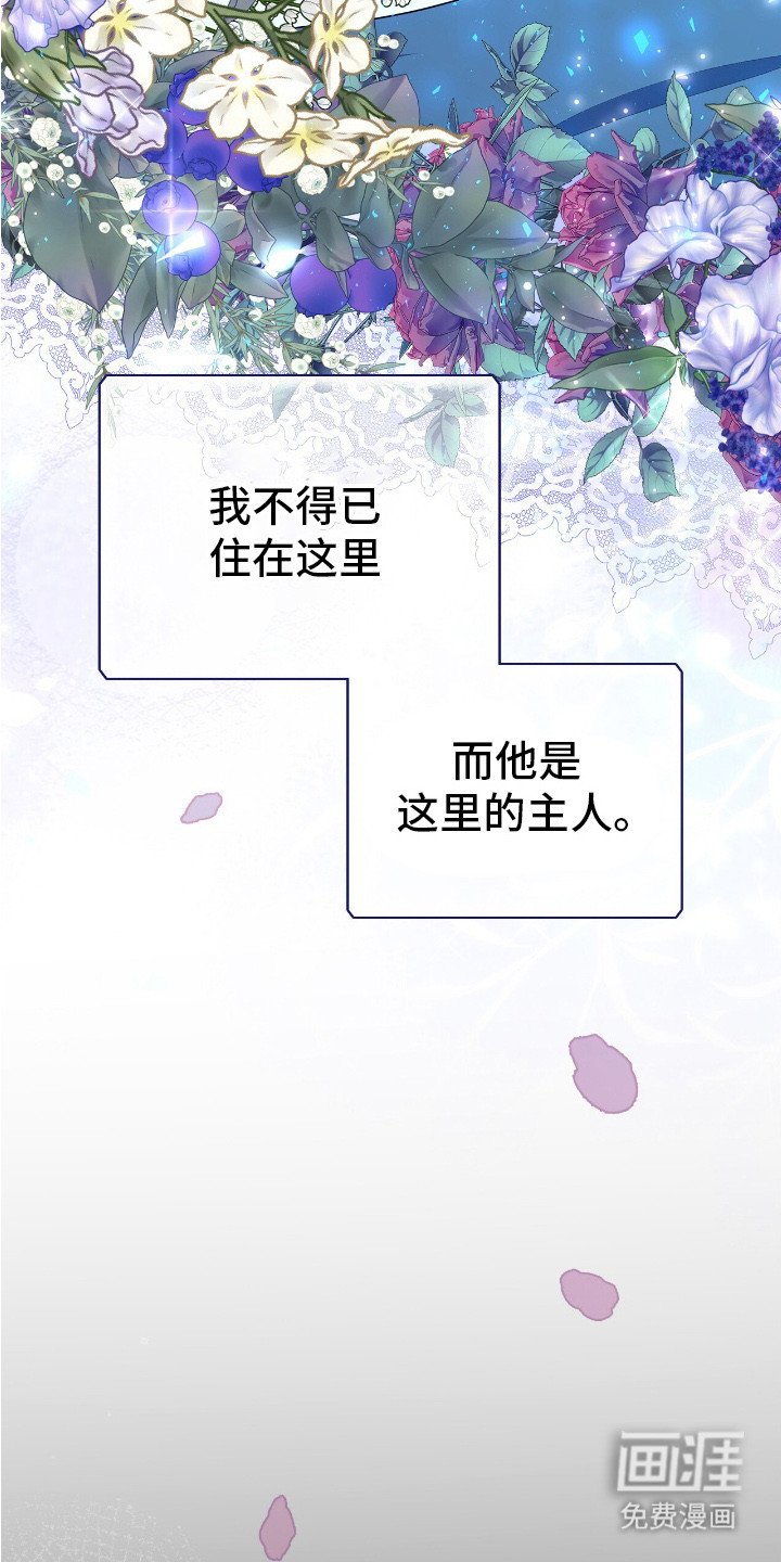第1章：棉花娃娃