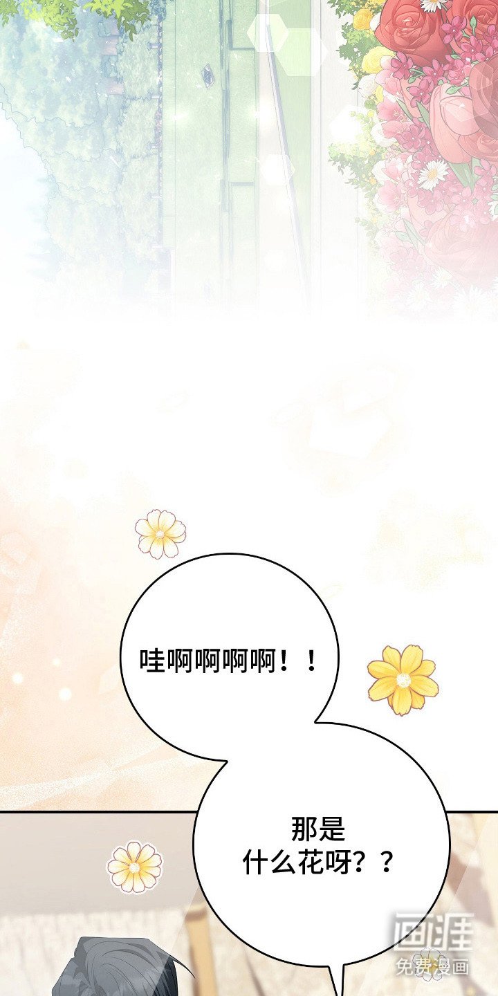 第13章：皇宫