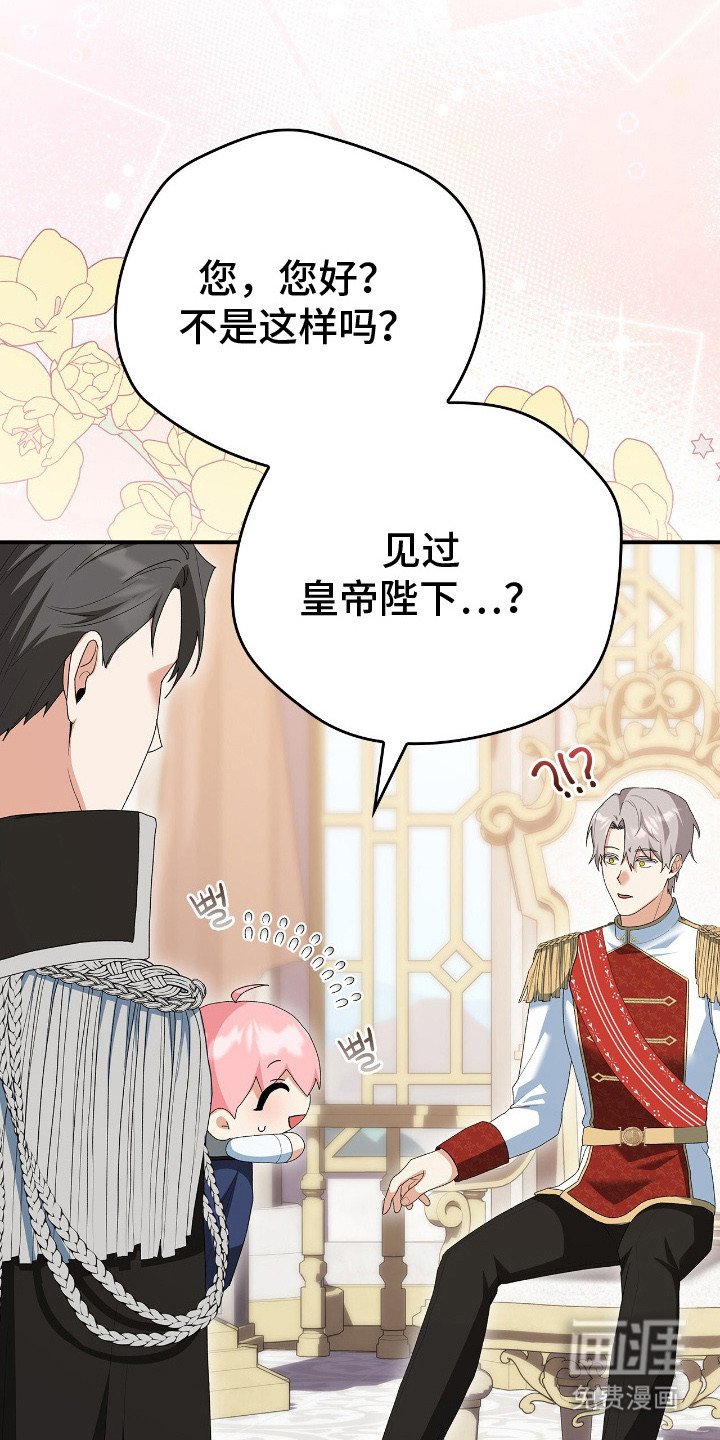 第15章：礼物