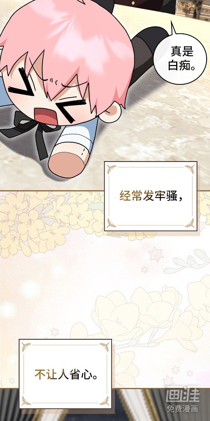 第17章：挑食
