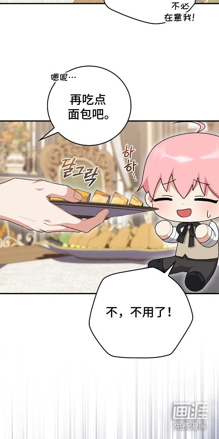 第17章：挑食