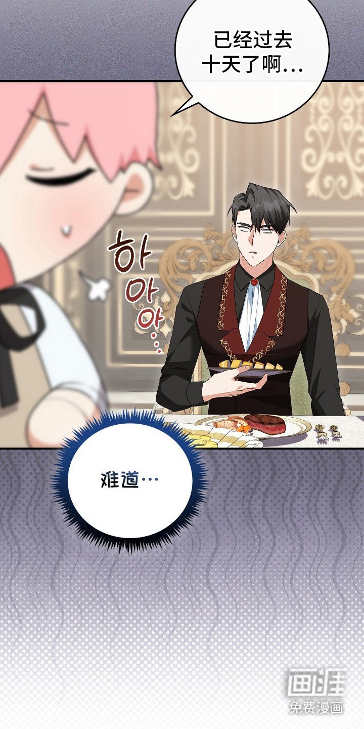 第17章：挑食