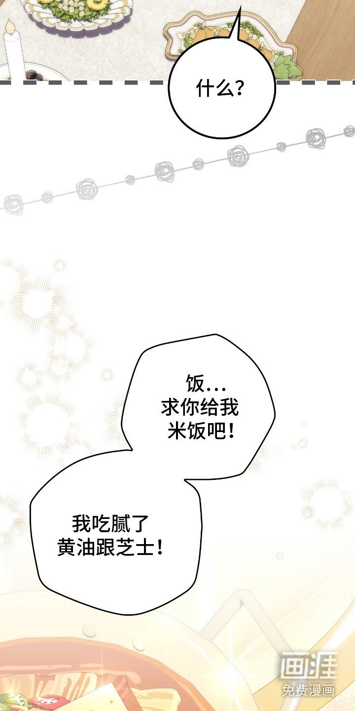 第17章：挑食