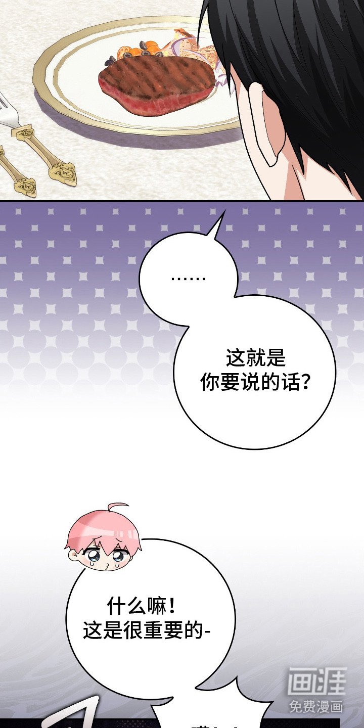 第17章：挑食