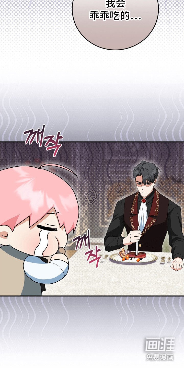 第17章：挑食