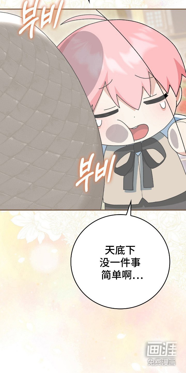 第19章：幼龙