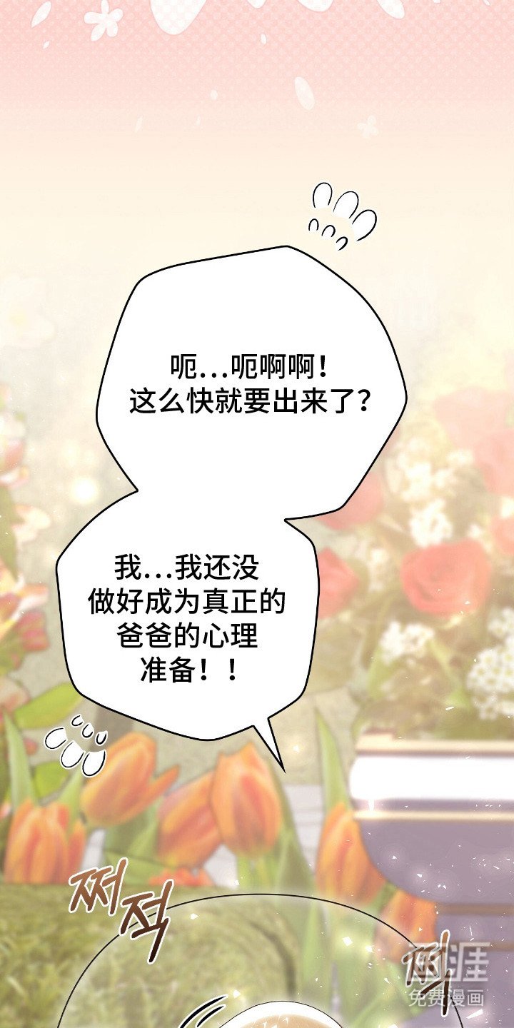 第19章：幼龙
