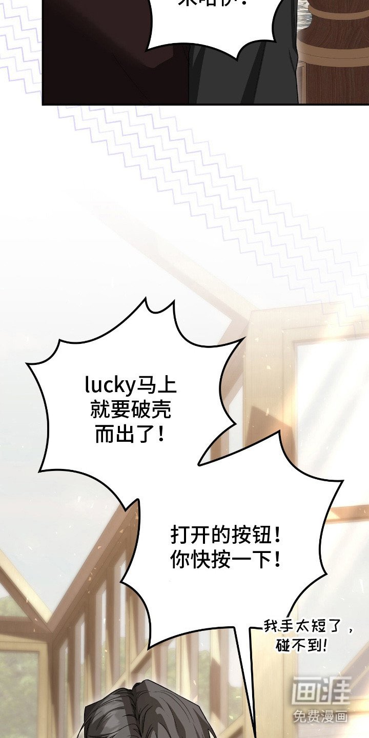 第19章：幼龙
